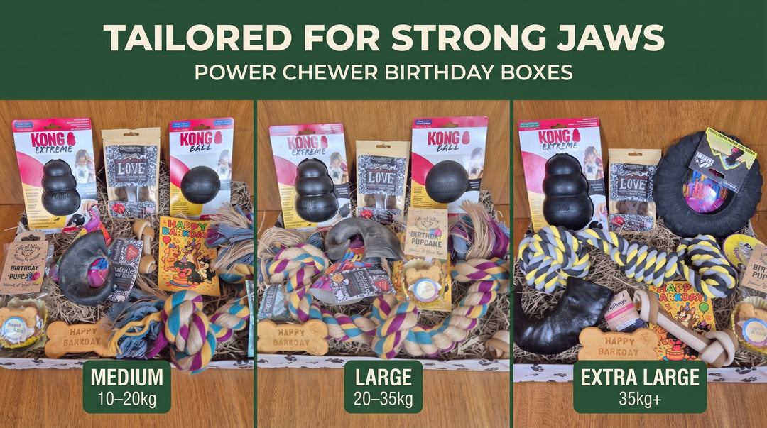 Finding the Right Birthday Gift for Strong Jaws & Power Chewers