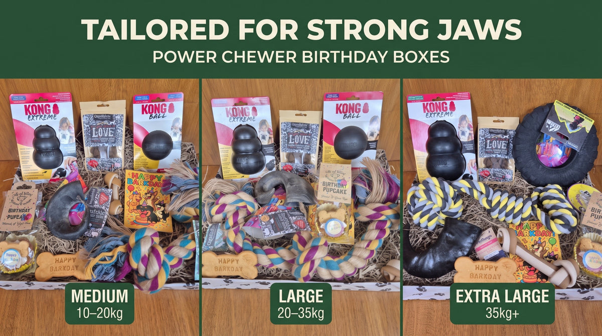 Finding the Right Birthday Gift for Strong Jaws & Power Chewers