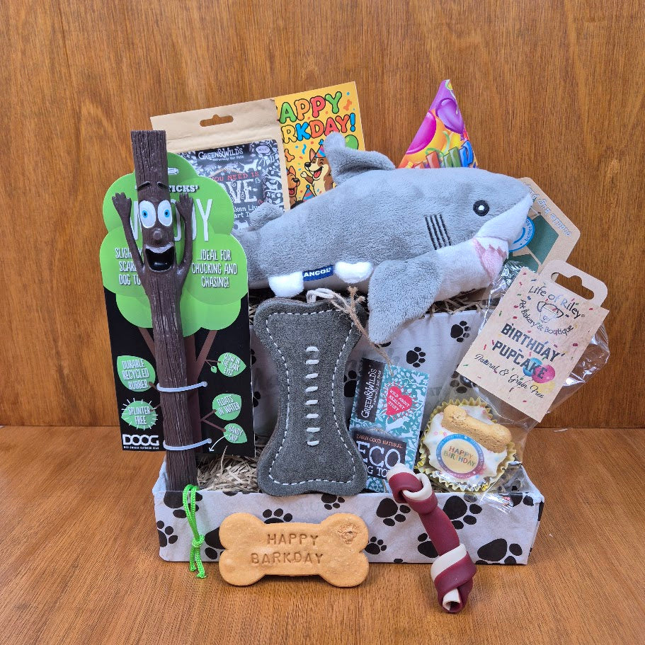 a jammed packed birthday box for small dogs filled with premium treats and toys