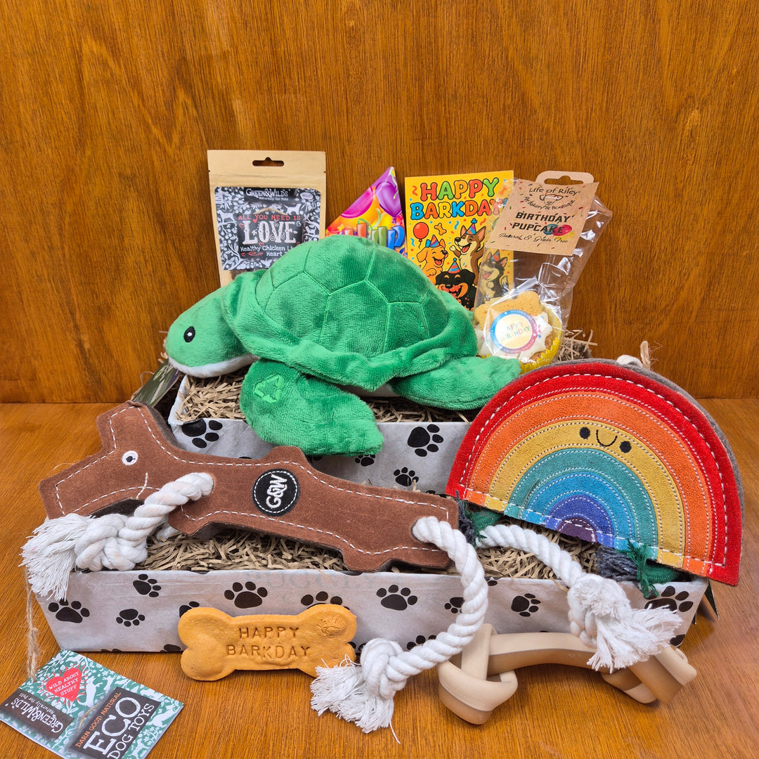 a birthday box for senior large sized dogs full of and mixture of size appropriate toys and treats