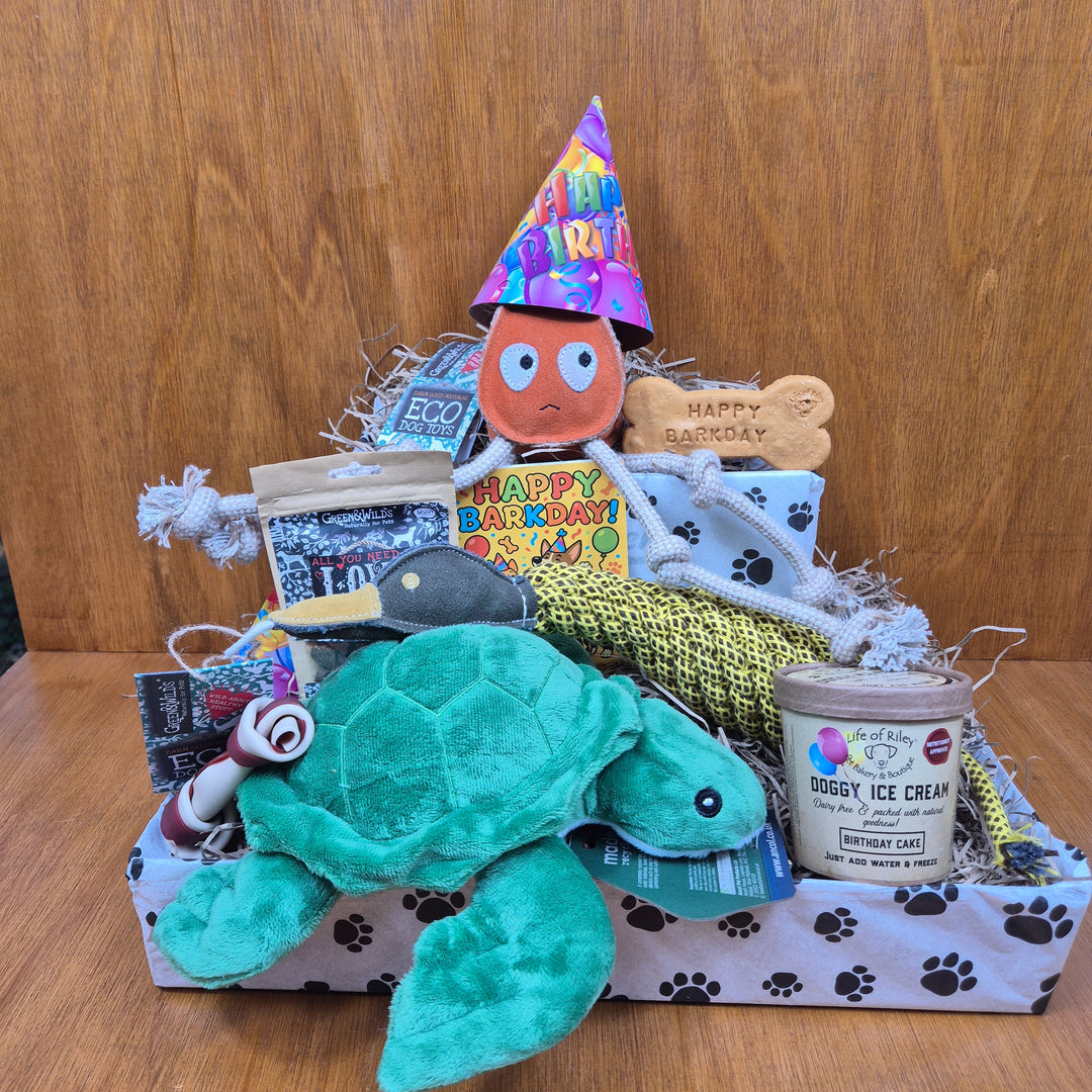 image of a Senior Dog Birthday Box