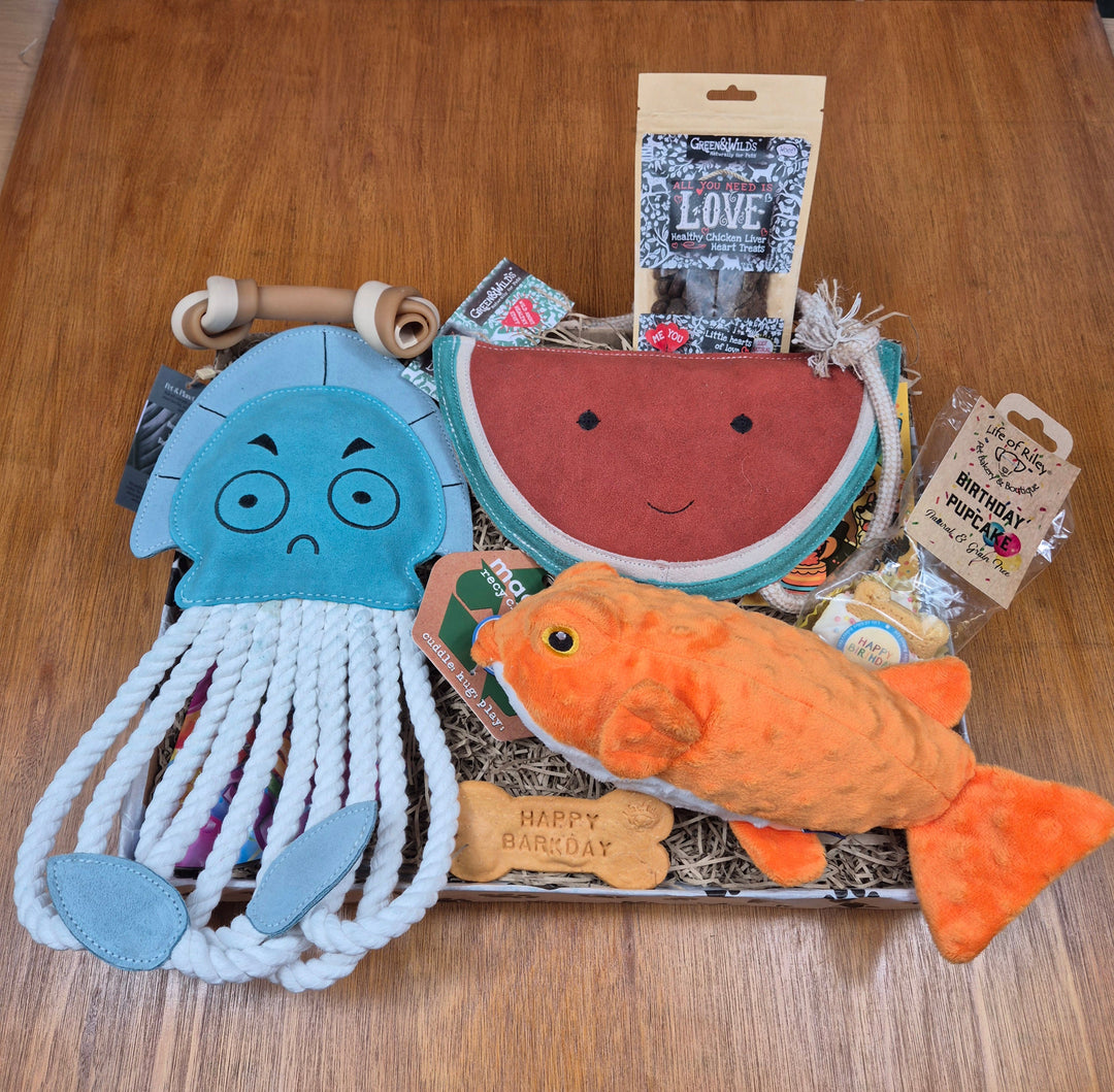 a birthday box for extra large dogs with size appropriate toys and treats