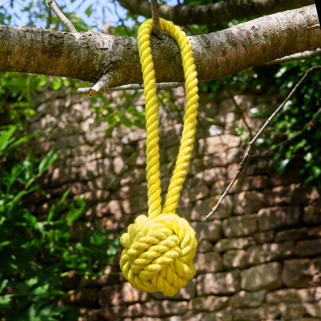 Yellow rope toy hanging from a branch, perfect for small breed dogs.