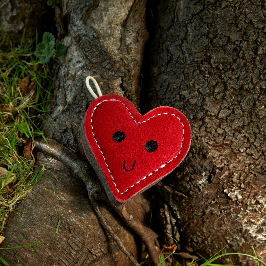  Eco friendly Trudy Truelove dog toy by Green and Wild’s suitable for small sized dogs photographed outdoors supplied by Paw Branch