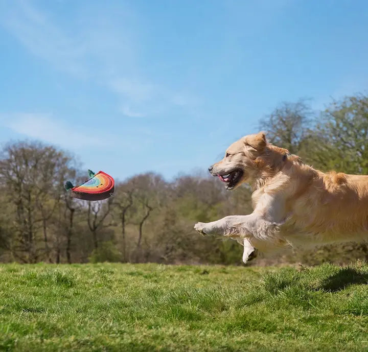Toys for Large Dogs (20–35kg)