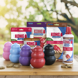 KONG - Shop All