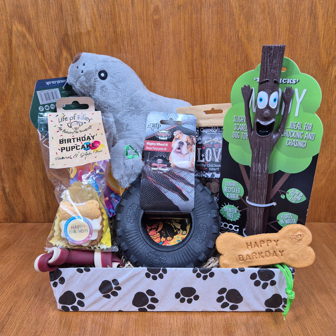 image of a mix of toys and treats put together in acurated birthday box for dogs.