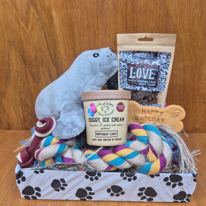 Bow Wow Birthday Box, The Deluxe for Medium Sized Dogs (10–20kg)