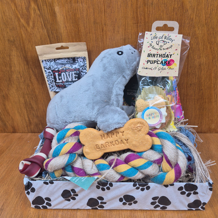 Bow Wow Birthday Box, The Deluxe for Medium Sized Dogs (10–20kg)