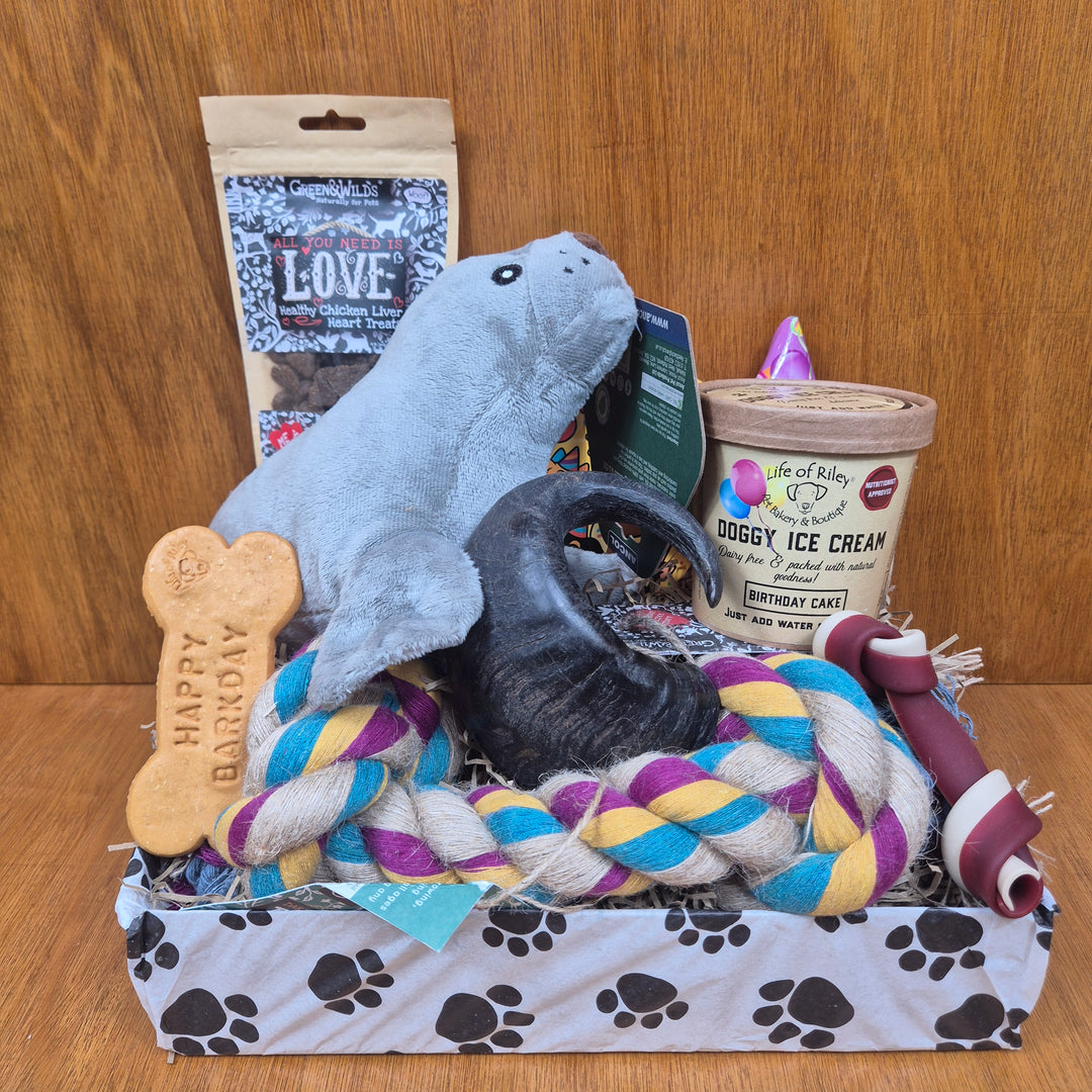 Top Dog Birthday Box, The Ultimate for Medium Sized Dogs (10–20kg)
