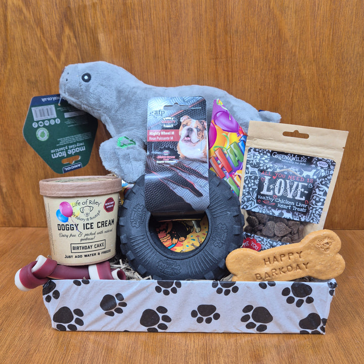 Bow Wow Birthday Box, The Deluxe for Medium Sized Dogs (10–20kg)