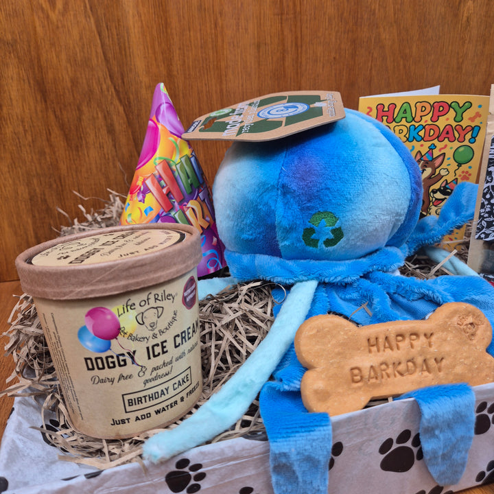 Tail-Waggin’ Birthday Box for Senior Medium Sized Dogs (10–20kg)