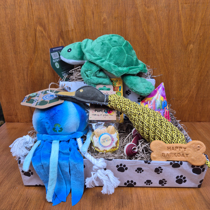 Top Dog Birthday Box, The Ultimate for Senior Medium Sized Dogs (10–20kg)