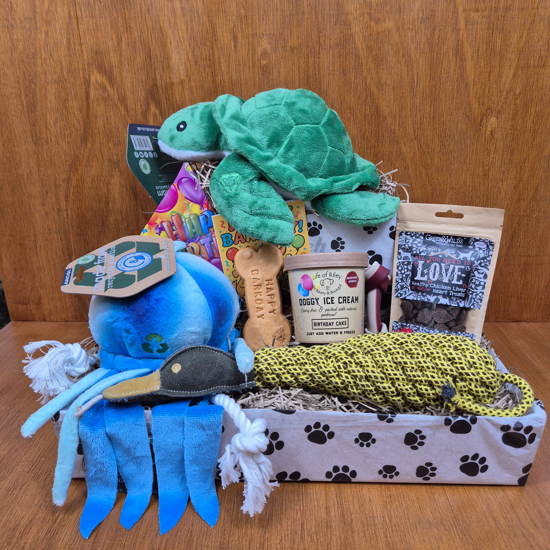 Top Dog Birthday Box, The Ultimate for Senior Medium Sized Dogs (10–20kg)