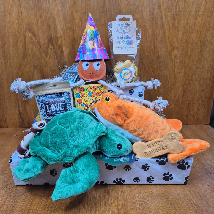 Top Dog Birthday Box, The Ultimate for Senior Medium Sized Dogs (10–20kg)