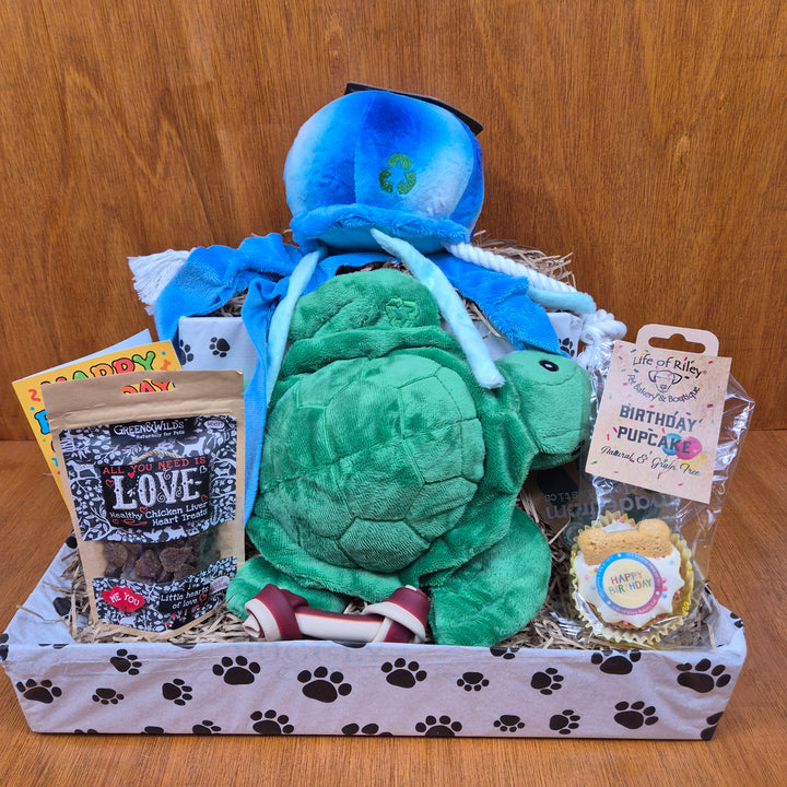 Bow Wow Birthday Box, The Deluxe for Senior Medium Sized Dogs (10–20kg)