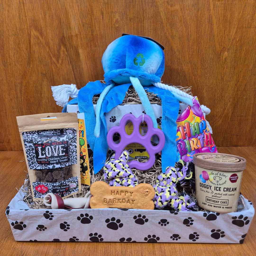Bow Wow Birthday Box, The Deluxe for Senior Medium Sized Dogs (10–20kg)
