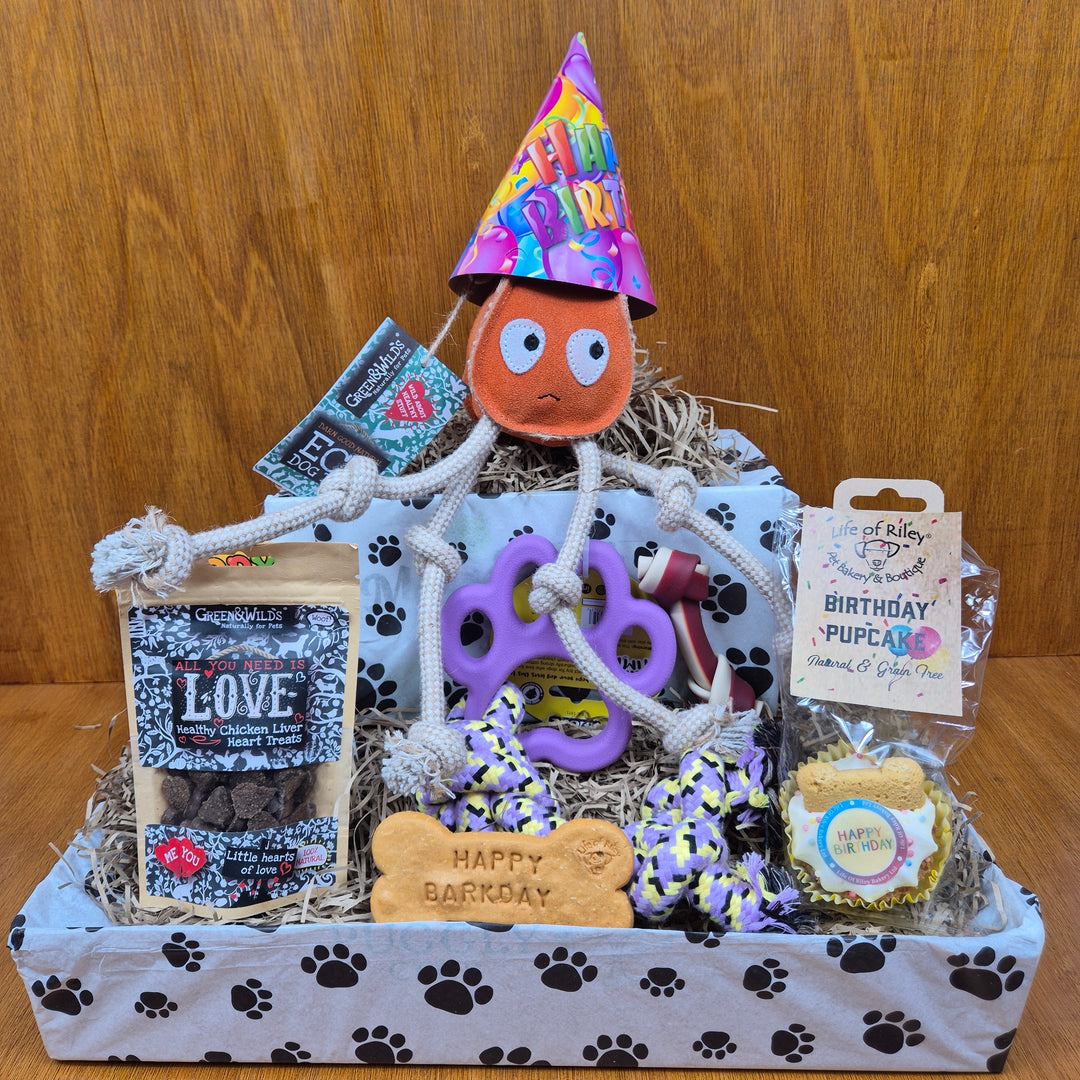 Bow Wow Birthday Box, The Deluxe for Senior Medium Sized Dogs (10–20kg)