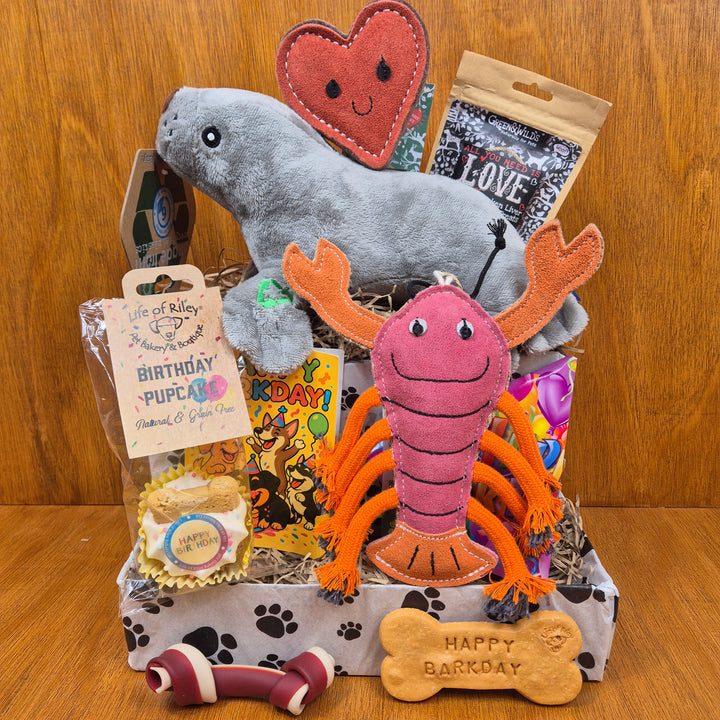 Top Dog Birthday Box, The Ultimate for Senior Small Dogs (5–10kg)