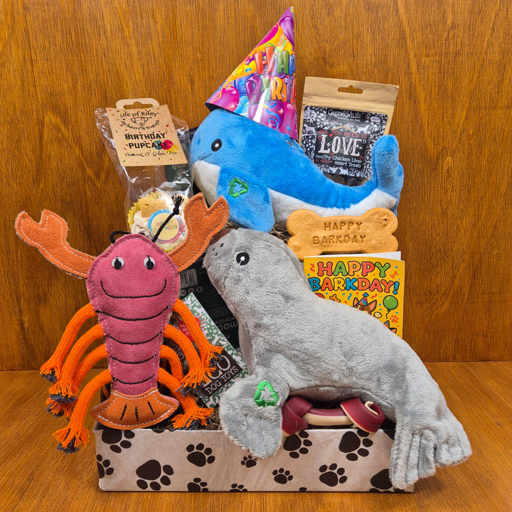 Top Dog Birthday Box, The Ultimate for Senior Small Dogs (5–10kg)