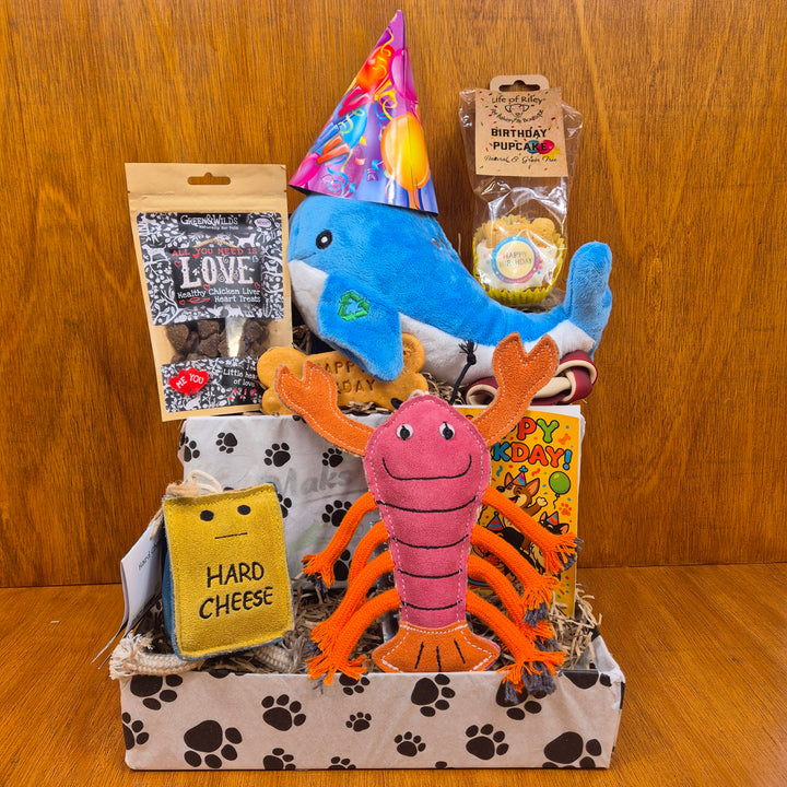 Top Dog Birthday Box, The Ultimate for Senior Small Dogs (5–10kg)