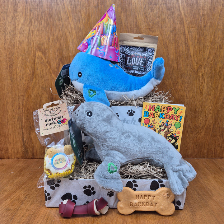 Bow Wow Birthday Box, The Deluxe for Senior Small Dogs (5–10kg)