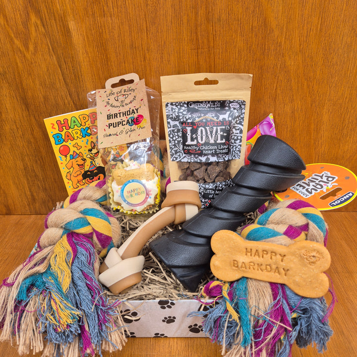 Bow Wow Birthday Box, The Deluxe for Large Sized Dogs (20–35kg)