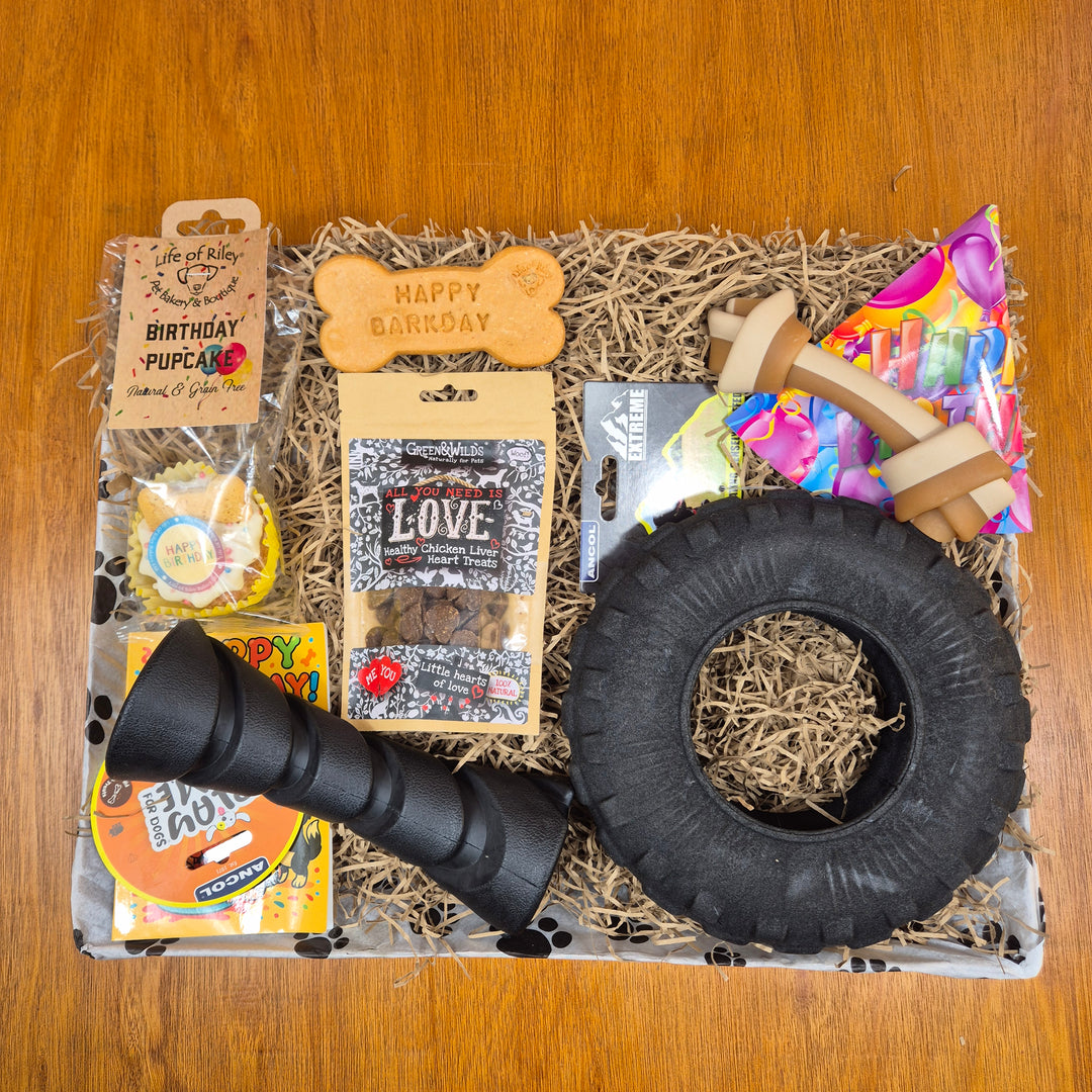 Bow Wow Birthday Box, The Deluxe for Large Sized Dogs (20–35kg)