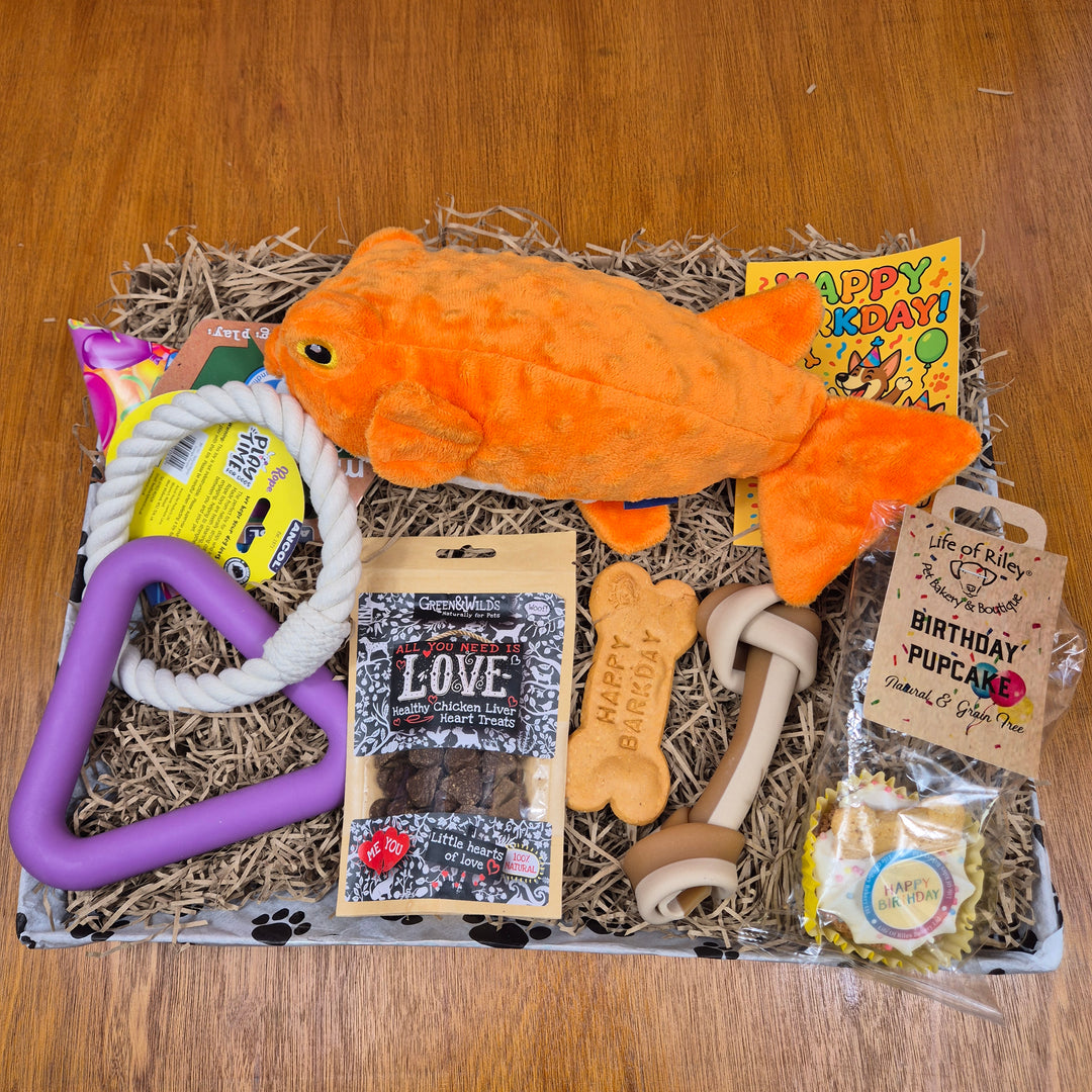 Bow Wow Birthday Box, The Deluxe for Senior Large Dogs (20–35kg)