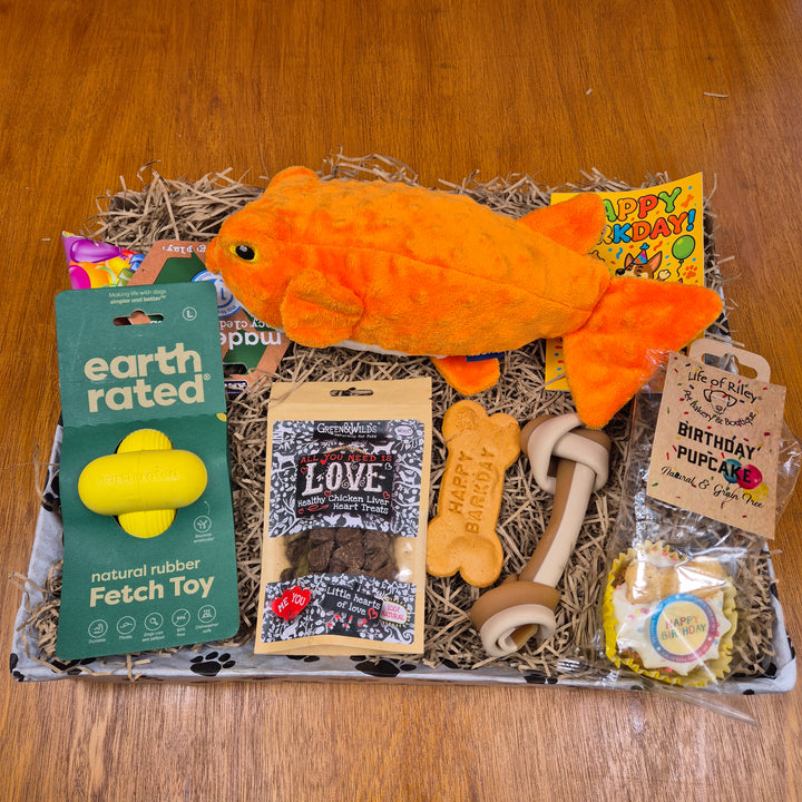 Bow Wow Birthday Box, The Deluxe for Senior Large Dogs (20–35kg)