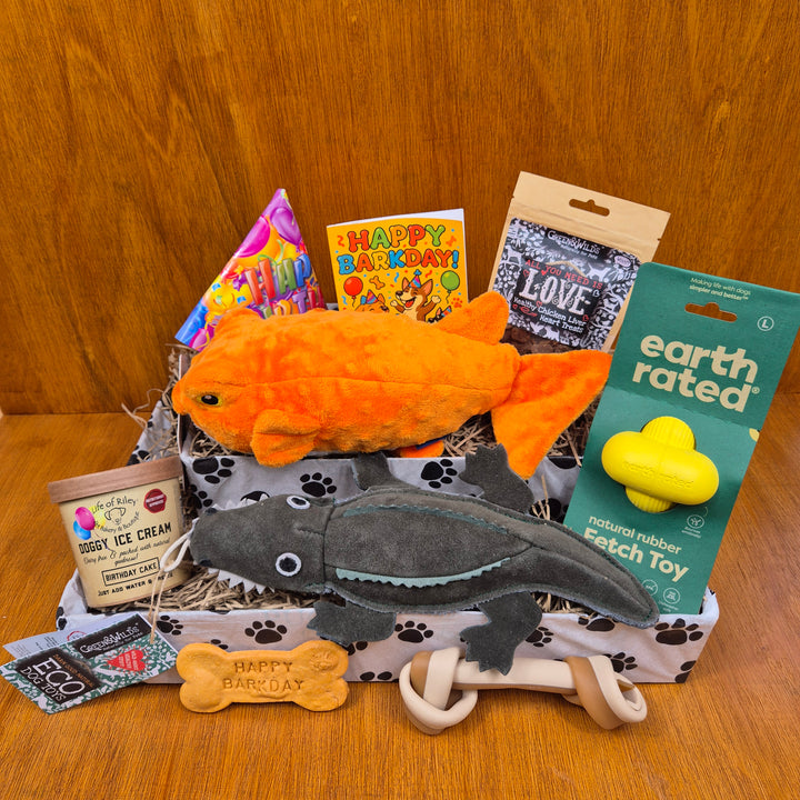 Top Dog Birthday Box, The Ultimate for Senior Large Dogs (20–35kg)