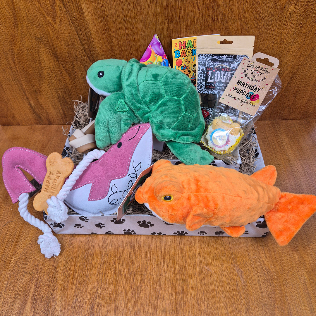 Top Dog Birthday Box, The Ultimate for Senior Large Dogs (20–35kg)