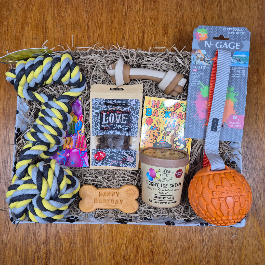 Bow Wow Birthday Box, The Deluxe for Extra Large Dogs (35kg+)