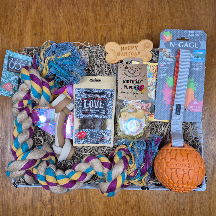 Bow Wow Birthday Box, The Deluxe for Extra Large Dogs (35kg+)