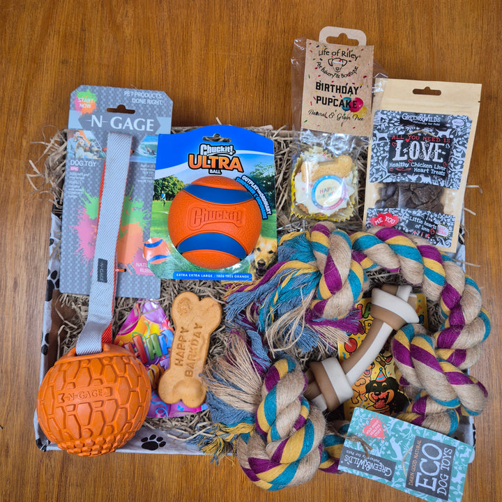 Top Dog Birthday Box, The Ultimate for Extra Large Dogs (35kg+)