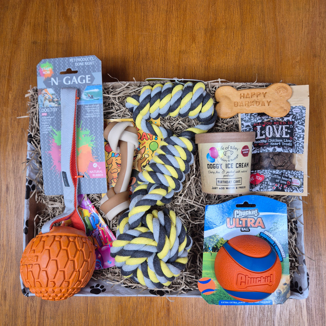 Top Dog Birthday Box, The Ultimate for Extra Large Dogs (35kg+)