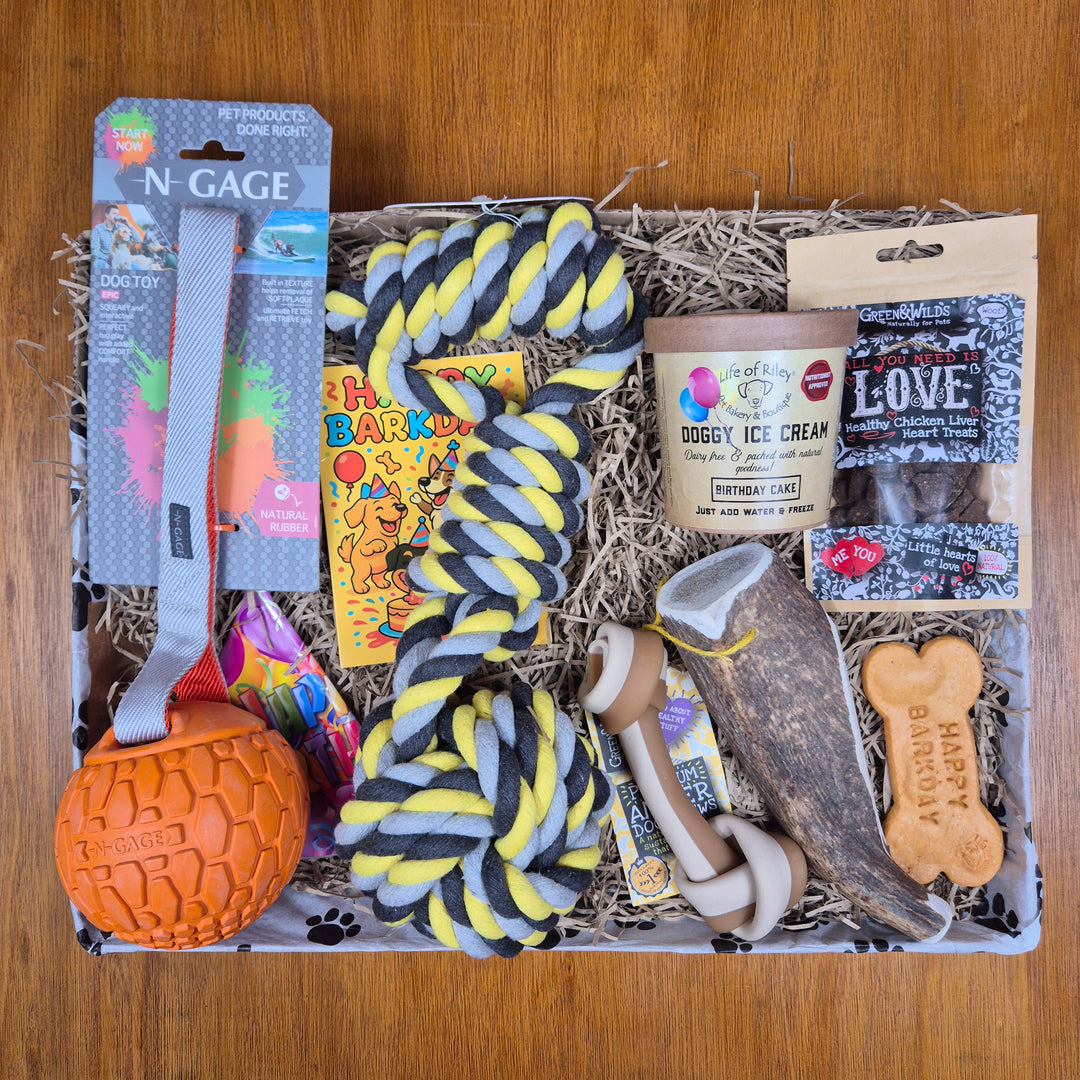 Top Dog Birthday Box, The Ultimate for Extra Large Dogs (35kg+)