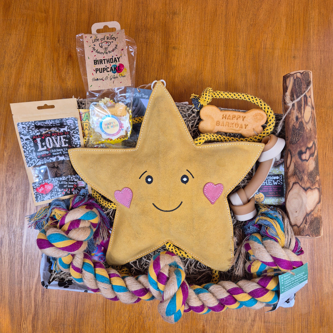 Top Dog Birthday Box, The Ultimate for Extra Large Dogs (35kg+)