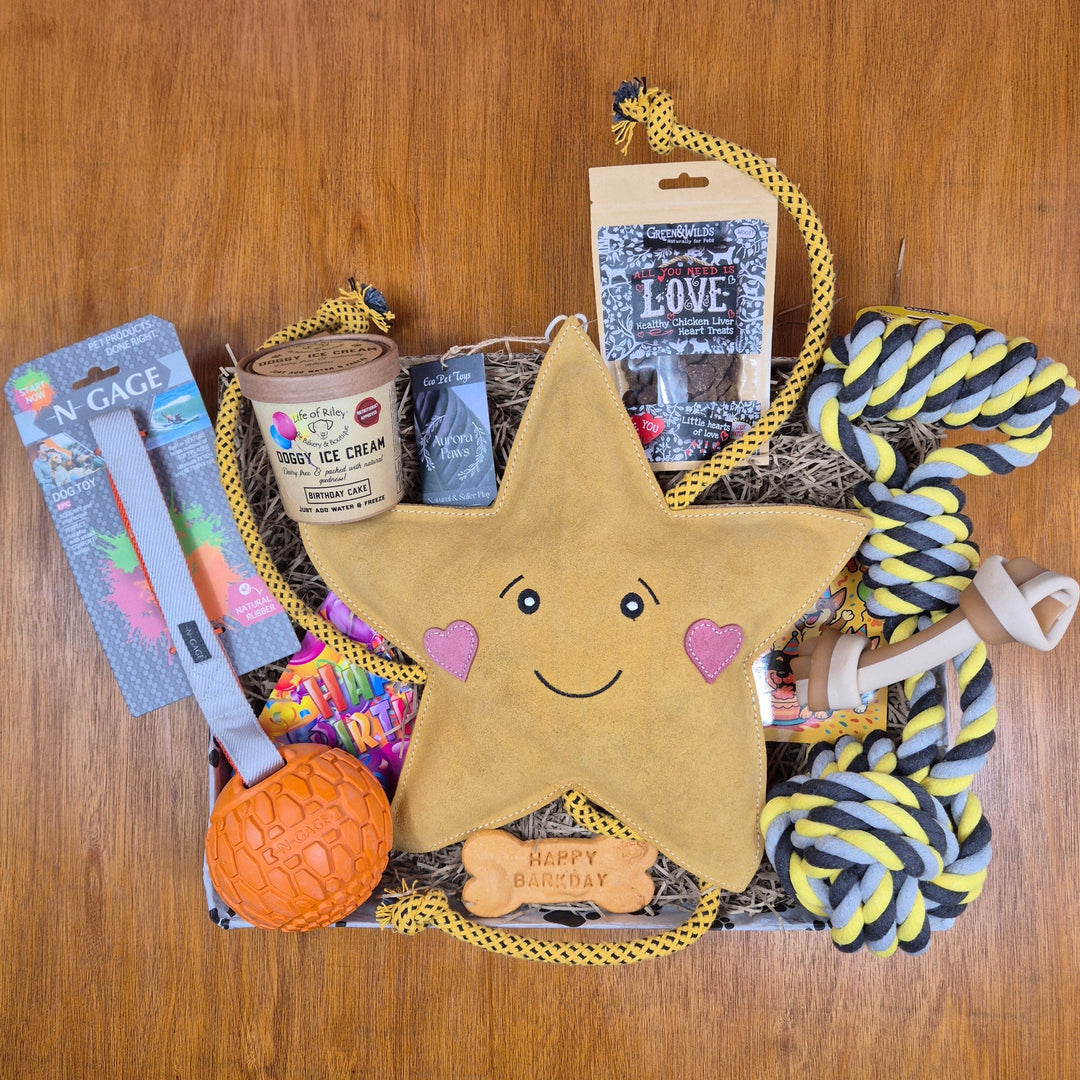 Top Dog Birthday Box, The Ultimate for Extra Large Dogs (35kg+)