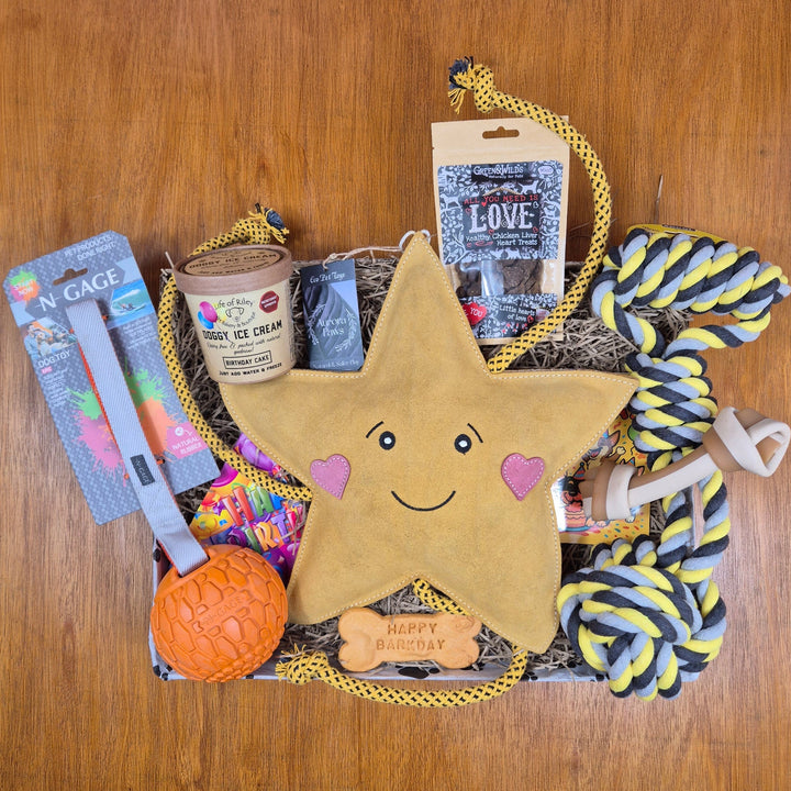 Top Dog Birthday Box, The Ultimate for Extra Large Dogs (35kg+)