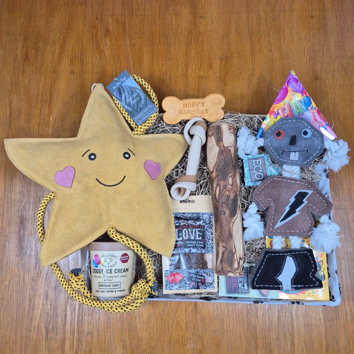 Top Dog Birthday Box, The Ultimate for Senior Extra Large Dogs (35kg+)