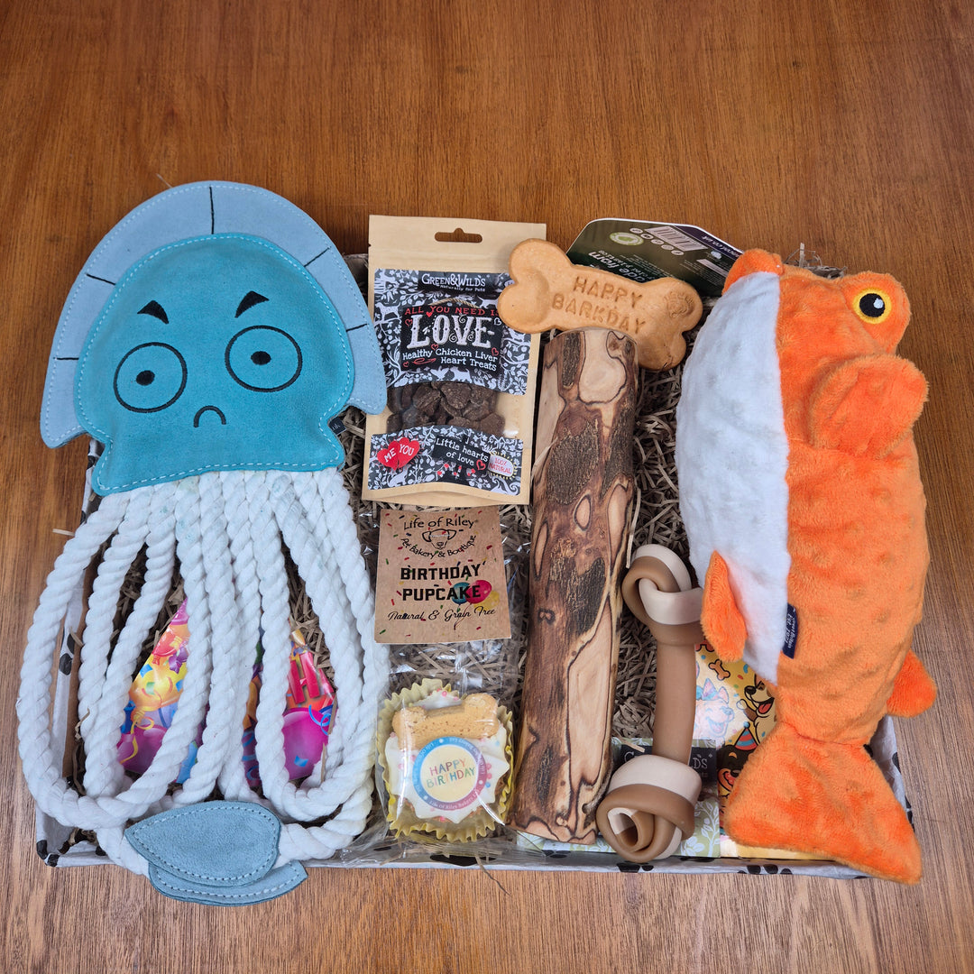 Top Dog Birthday Box, The Ultimate for Senior Extra Large Dogs (35kg+)