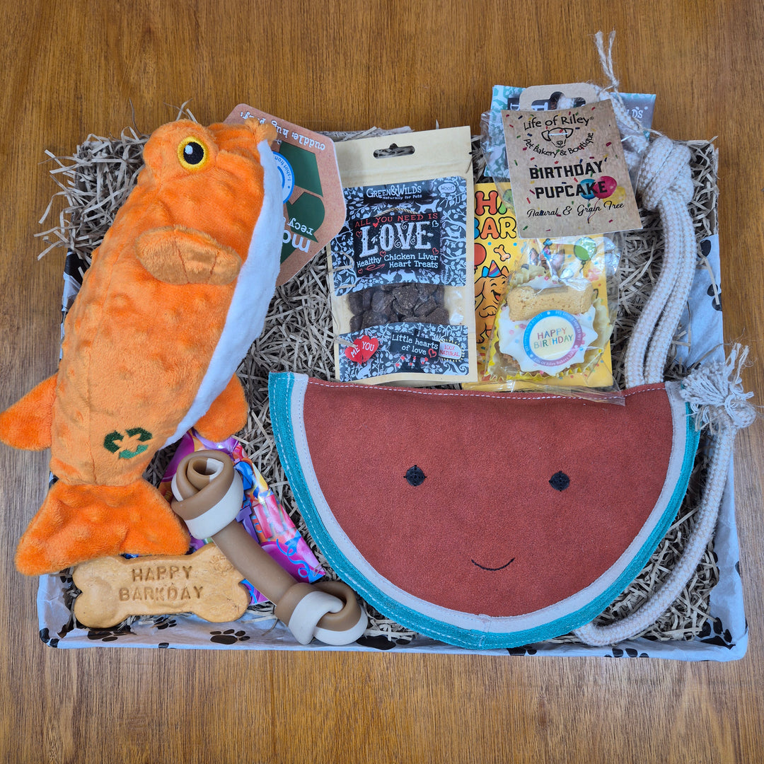 Bow Wow Birthday Box, The Deluxe for Senior Extra Large Dogs (35kg+)