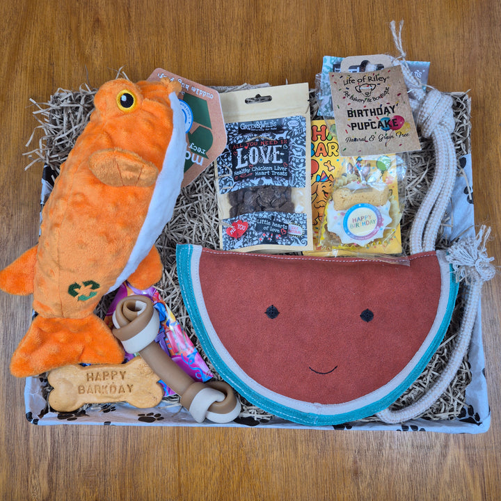 Bow Wow Birthday Box, The Deluxe for Senior Extra Large Dogs (35kg+)