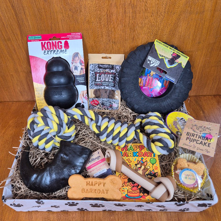 Power Chewer Dog Birthday Box – Extra Large Sized Dogs (35kg+)