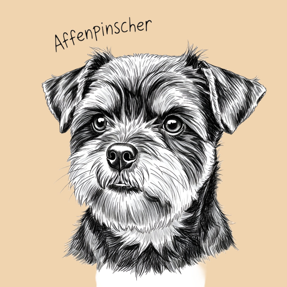Sketch of an Affenpinscher – extra small dog breed featured in The Puggly Club eco-friendly birthday boxes