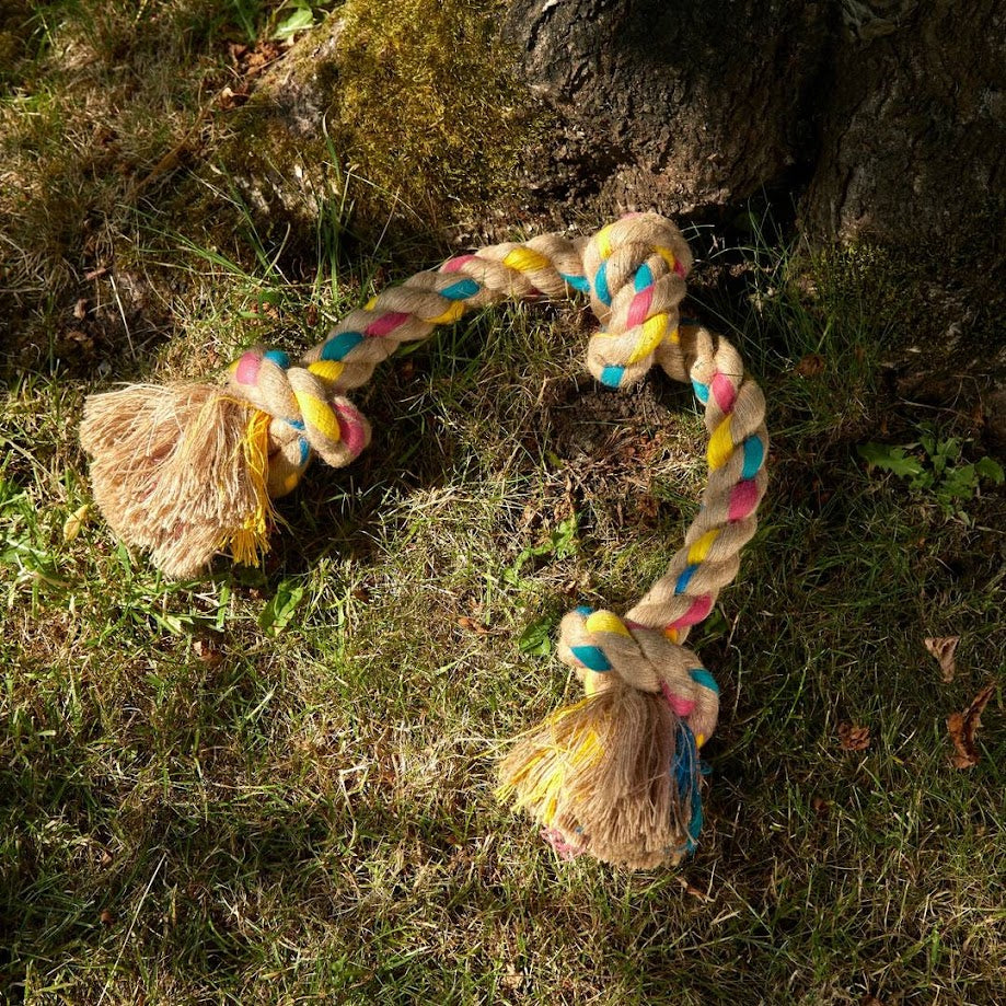 Dog rope toy with colorful tassels on grass next to a tree