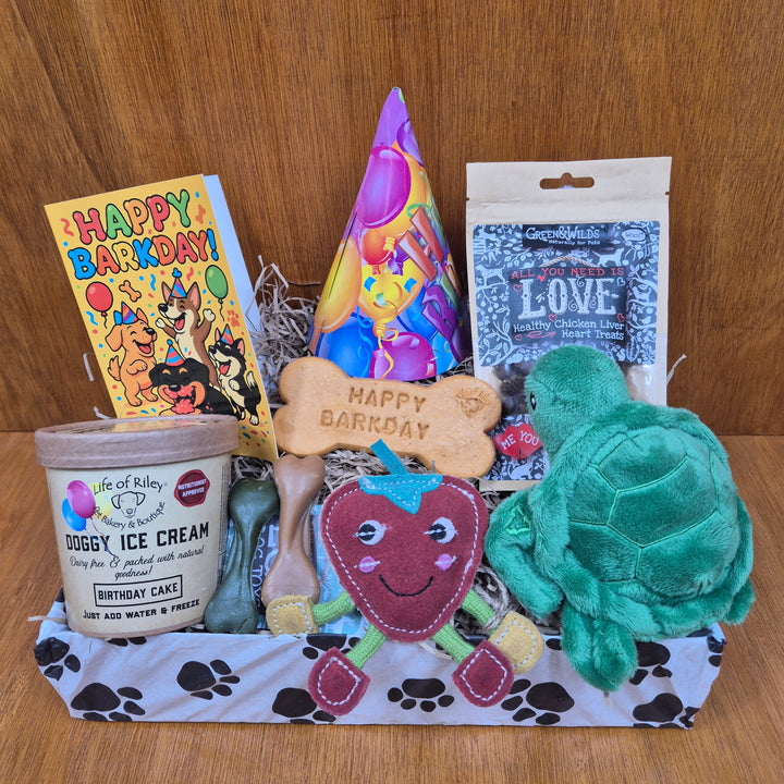 The Bow Wow Birthday Box from The Paw Branch Club offers eco toys and treats for extra small and senior dogs.