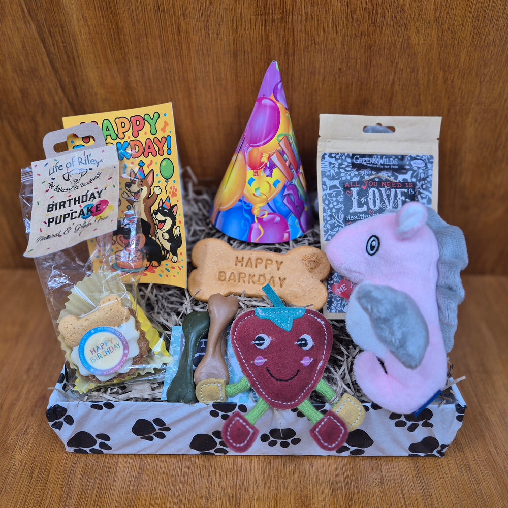 Open Bow Wow Birthday Box showing eco toys and natural treats for extra small and senior extra small dogs.