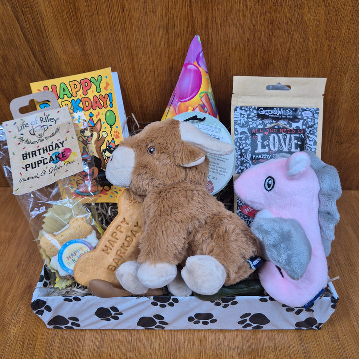 Birthday fun for extra small and senior extra small dogs with the Bow Wow Birthday Box of toys and treats.